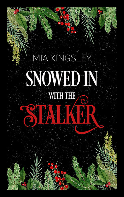 Cover zur weihnachtlichen Dark Romance Geschichte Snowed In With The Stalker